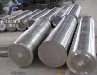 Titanium and titanium alloy ingots/slab